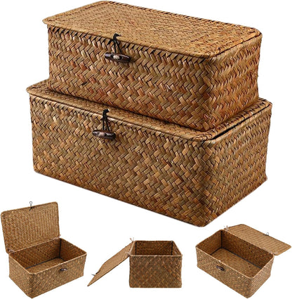 Skiennix Storage Baskets - 2 PCS Woven Seagrass Baskets with Lid for Stylish Organization | 10x6x4 & 9x5x3 Inches