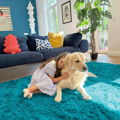 OLANLY Large Area Rug - Soft Fluffy Shaggy Indoor Carpet for Living Room & Bedroom | Teal 6x9 ft