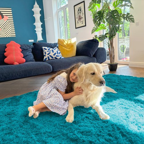 OLANLY 5x8 Machine Washable Large Area Rugs for Living Room, Bedroom, Soft Fluffy Shaggy Bedside Rug, Indoor Floor Carpet for Kids Girls and Boys, Dorms, Nursery, Home Decor Aesthetic, Teal