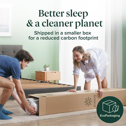 Zinus 6 Inch Hybrid Mattress - Medium Firmness, Durable Support, Twin Size, Certified Safe Foams