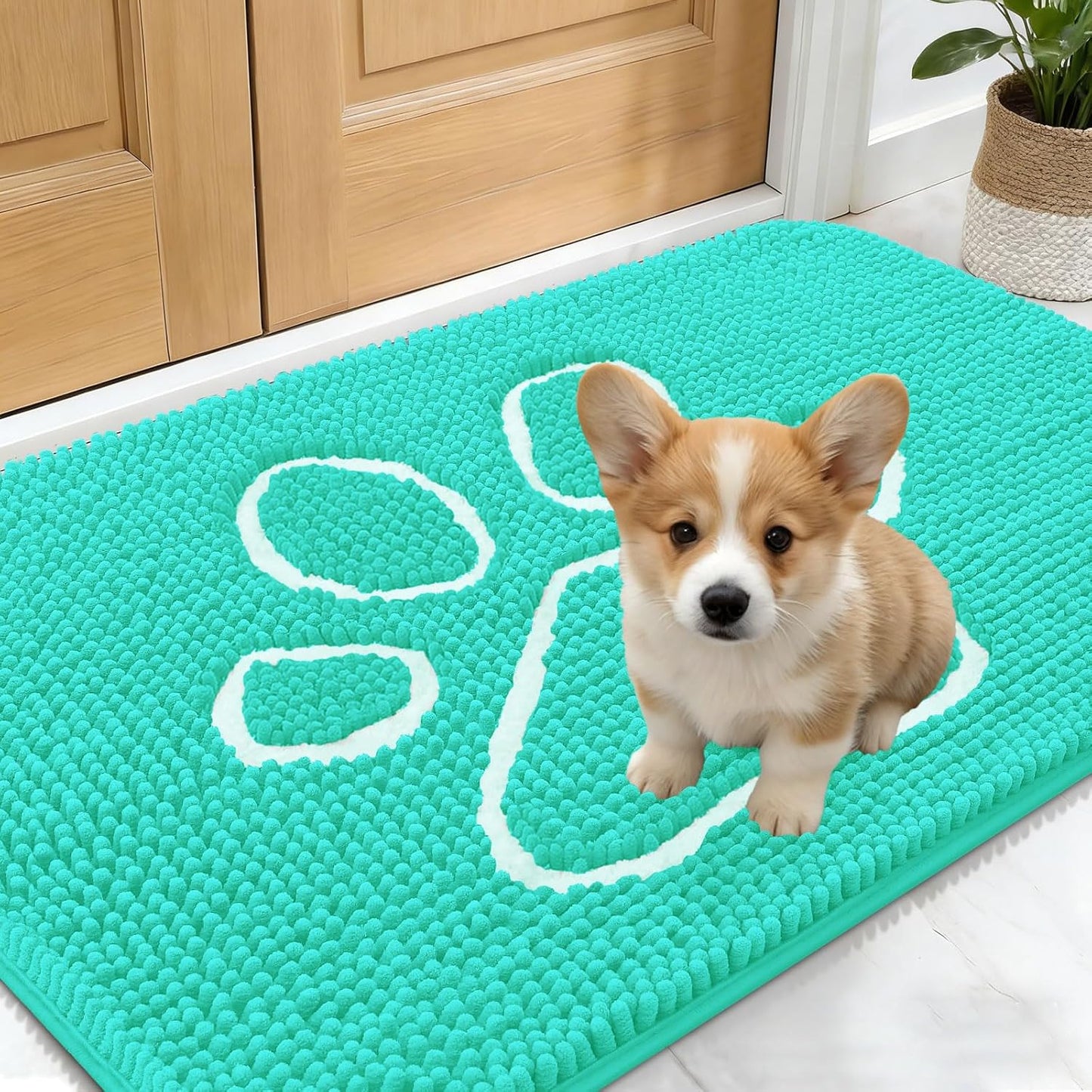 OLANLY Dog Door Mat - Absorbent Non-Slip Chenille Mud Mat for Muddy Paws | 24x16, Teal