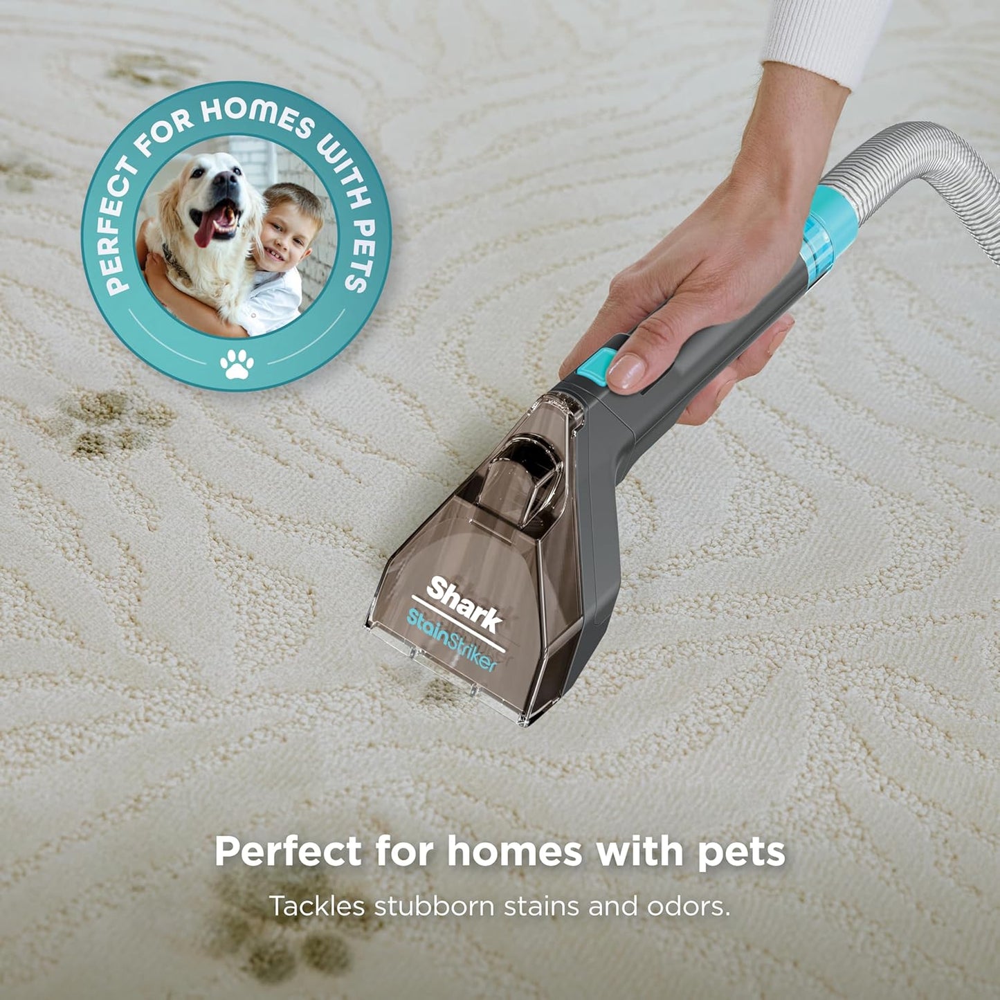 Shark StainStriker Portable Carpet & Upholstery Cleaner - Spot & Stain Eliminator with Tools & Solutions, Charcoal