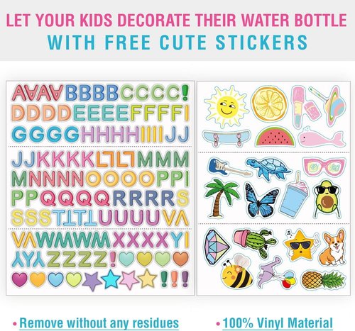 Chillout Life 17 oz Kids Insulated Water Bottle - Leakproof Straw Lid & Cute Stickers