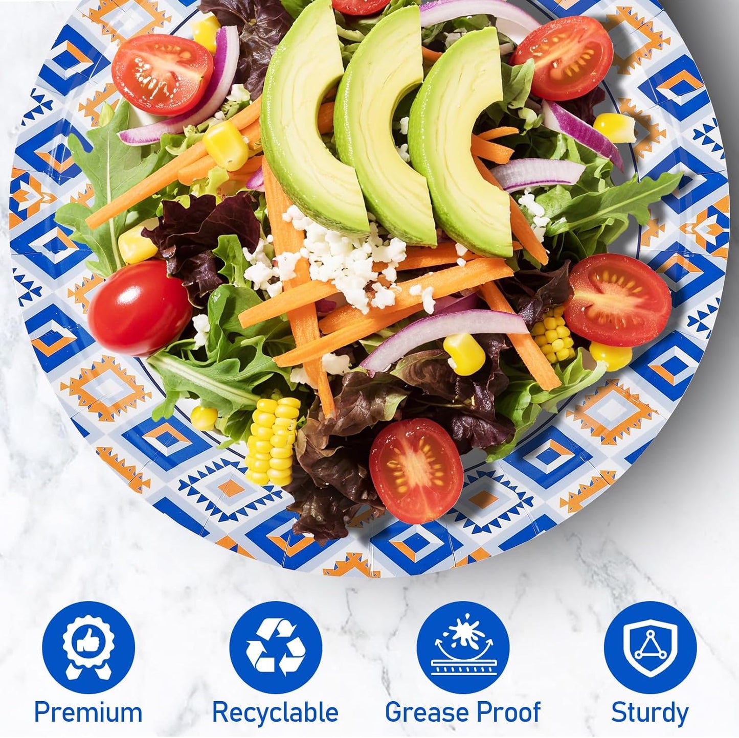 Regine Switzerland 120 PCS Disposable Paper Plates - 9 Inch Heavy Duty, Cut Proof & Soak Proof for Parties & Gatherings