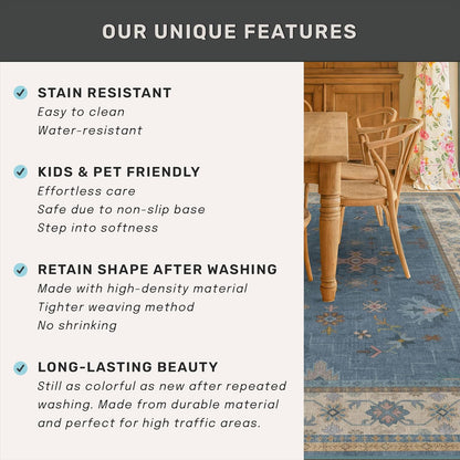 Regine Switzerland Washable Blue Entryway Rug - 3x4 Non-Slip Throw Rug for Kitchen, Bedroom, Bathroom, Mudroom