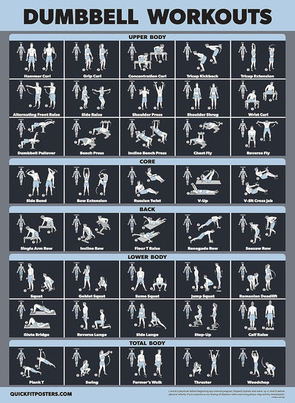 Palace Learning Dumbbell Workout Exercise Poster - Laminated, Dark | 18" x 24" Size