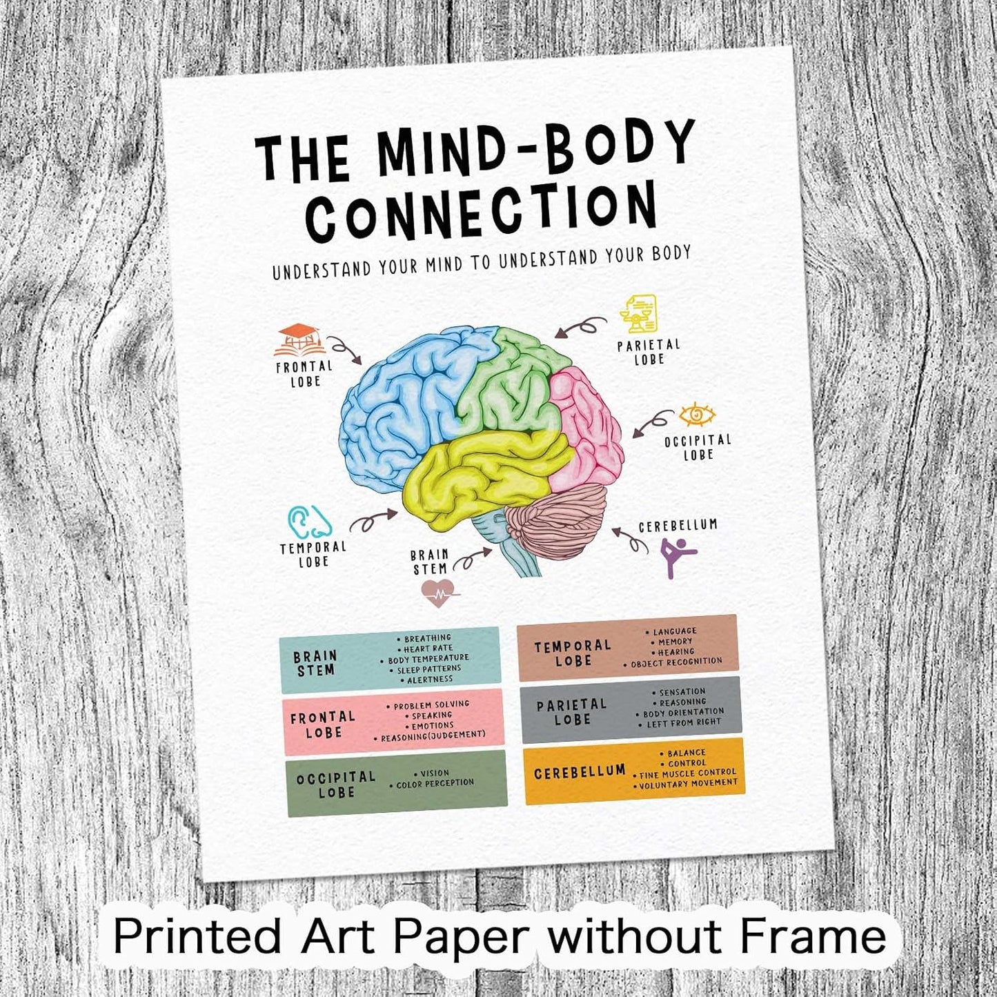 Mind Body Connection Poster - Human Brain Anatomy Print for Therapy Office Decor | 8x10 Inch Unframed