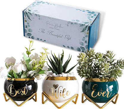 PeraBella 3-Piece Succulent Planter Set - Perfect Romantic Gift for Her | Ideal for Home Decor