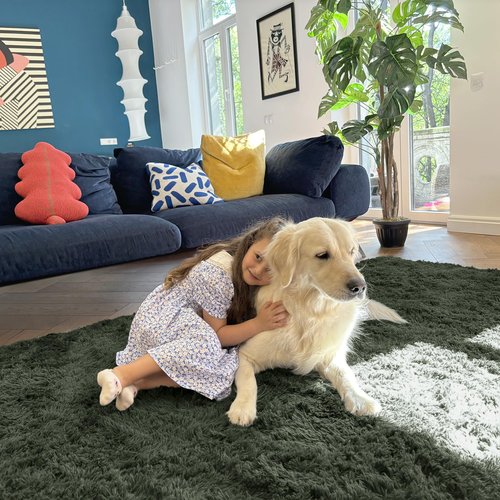 OLANLY 6x9 Machine Washable Large Area Rugs for Living Room, Bedroom, Soft Fluffy Shaggy Bedside Rug, Indoor Floor Carpet for Kids Girls and Boys, Dorms, Nursery, Home Decor Aesthetic, Olive Green
