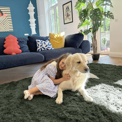 OLANLY 5x8 Machine Washable Large Area Rugs for Living Room, Bedroom, Soft Fluffy Shaggy Bedside Rug, Indoor Floor Carpet for Kids Girls and Boys, Dorms, Nursery, Home Decor Aesthetic, Olive Green