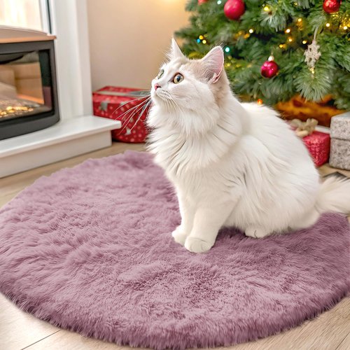 OLANLY Blush Round Rugs for Bedroom - Machine Washable, 2 ft Circle Area Rugs for Living Room, Soft and Fluffy Shaggy Carpet for Teen Girls and Boys, Nursery Rooms, Dorms, Home Decor Aesthetic