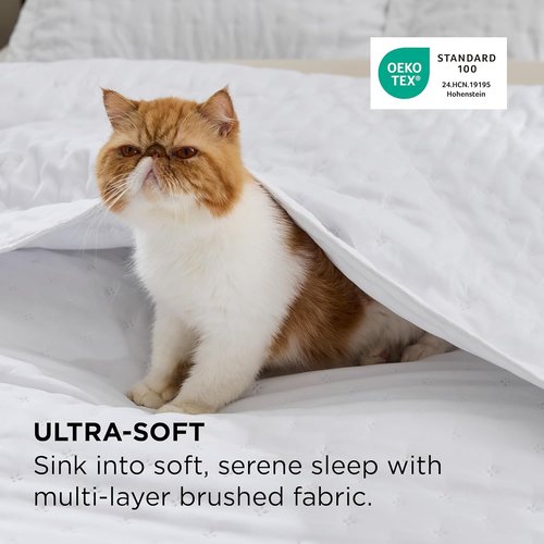 Bedsure Quilts - Queen Size Bright White Lightweight Comforter | Ultra Soft All-Season Bedding, 90 x 96 Inches