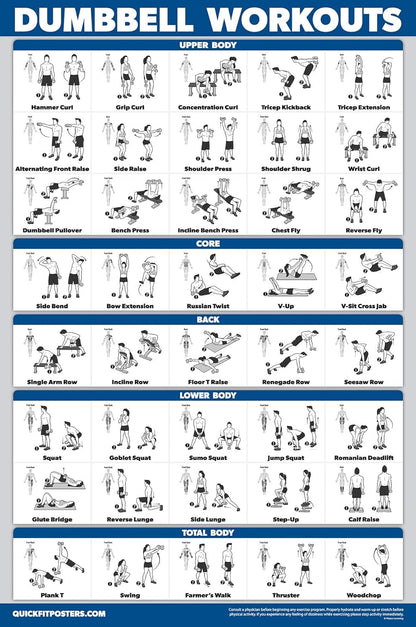 Palace Learning Dumbbell Workout Posters - Laminated Exercise Charts (18" x 24") | 3 Pack Volumes 1-3
