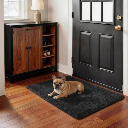 Ophanie Small Black Entryway Throw Rug - Non-Slip Fluffy Carpet for Bedroom | 2x3 Mini Area Rug