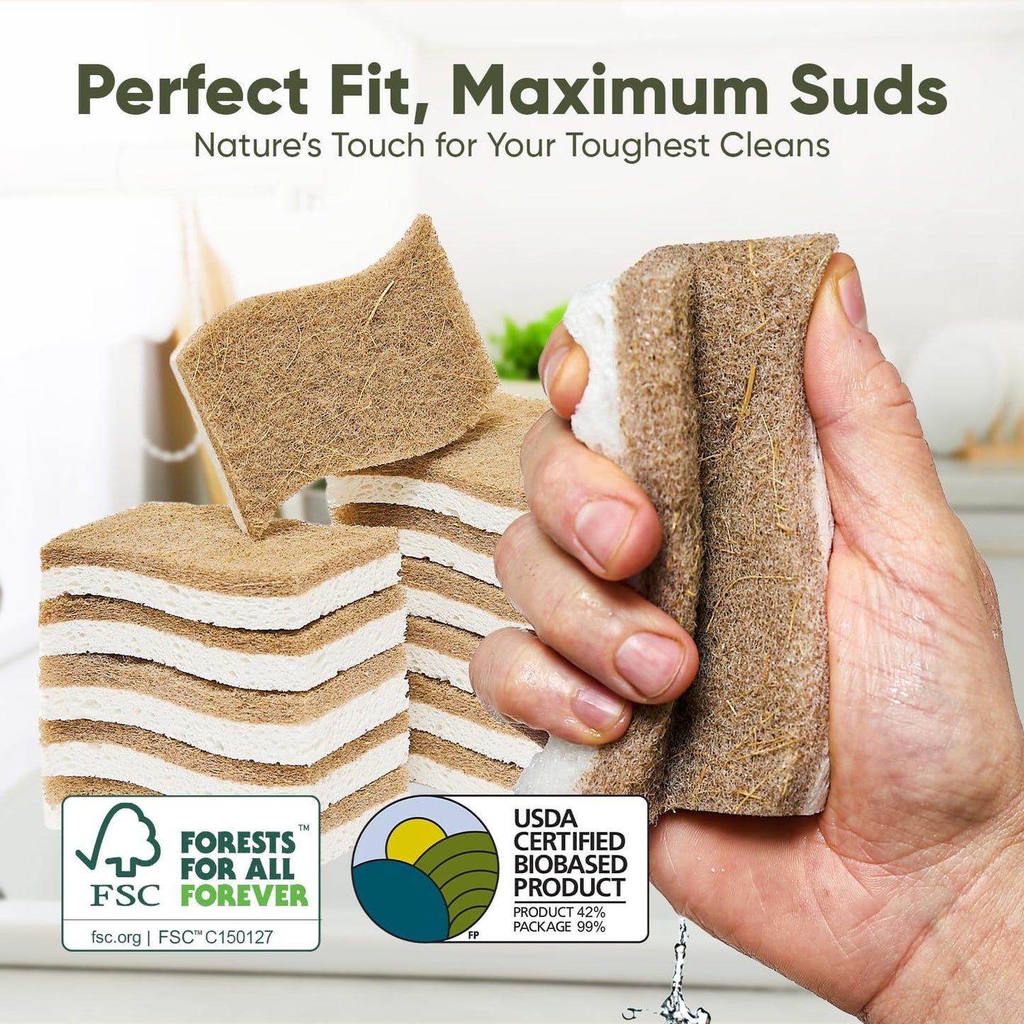 Plant-Based Kitchen Sponges - Eco-Friendly Natural Cellulose & Coconut Scrubber | 12 Pack | USDA Biobased Certified