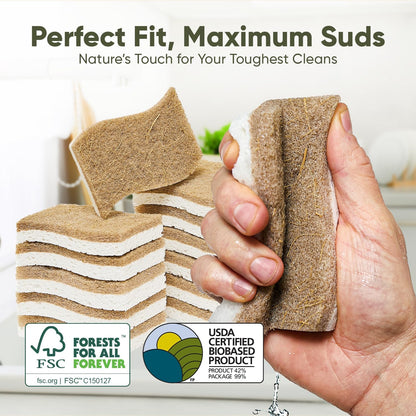 Plant-Based Kitchen Sponges - Eco-Friendly Natural Cellulose & Coconut Scrubber | 12 Pack | USDA Biobased Certified