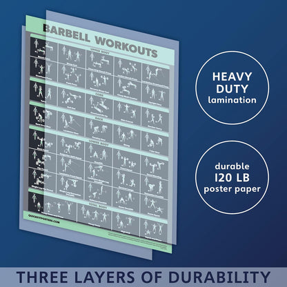 Palace Learning Dumbbell & Barbell Exercise Poster Set - Laminated 2 Chart Workout Guide | 18” x 24”