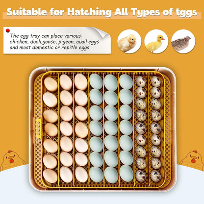 Sailnovo 56 Egg Incubator - Automatic Egg Turning & Humidification | Temperature Control for Chicken, Duck, Quail Eggs