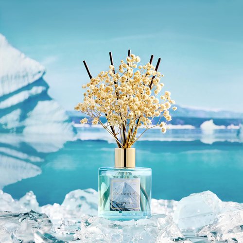 COCORRÍNA Reed Diffuser - Antarctic 6.7 Fl. Oz Set with 8 Sticks & Preserved Baby's Breath | Elegant Home Decor