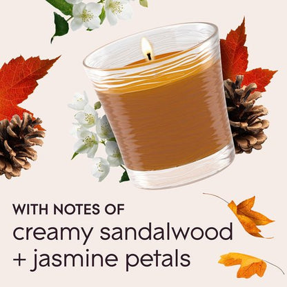 Glade 1-Wick Scented Candle Jar - Cashmere Woods Air Freshener with Essential Oils | 4.08 Oz, 2 Count