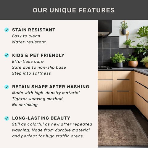 Boho Taupe Brown 4x6 Living Room Rug - Modern Traditional Oriental Neutral, Washable Low Pile Non-Slip Small Area Rugs for Entryway, Bedroom, Foyer, Mudroom