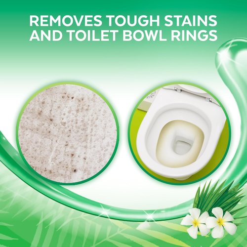 Lysol Toilet Bowl Cleaner Gel - Stain Removal & Disinfection - Forest Rain Scent, 24oz (Pack of 2)