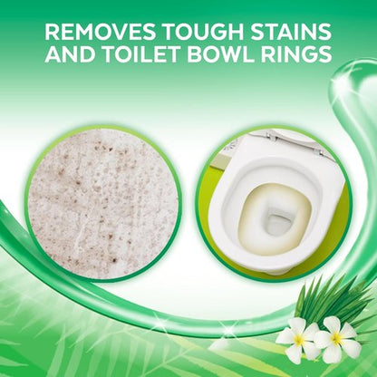Lysol Toilet Bowl Cleaner Gel - Stain Removal & Disinfection - Forest Rain Scent, 24oz (Pack of 2)