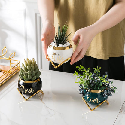 PeraBella 3-Piece Succulent Planter Set - Perfect Romantic Gift for Her | Ideal for Home Decor
