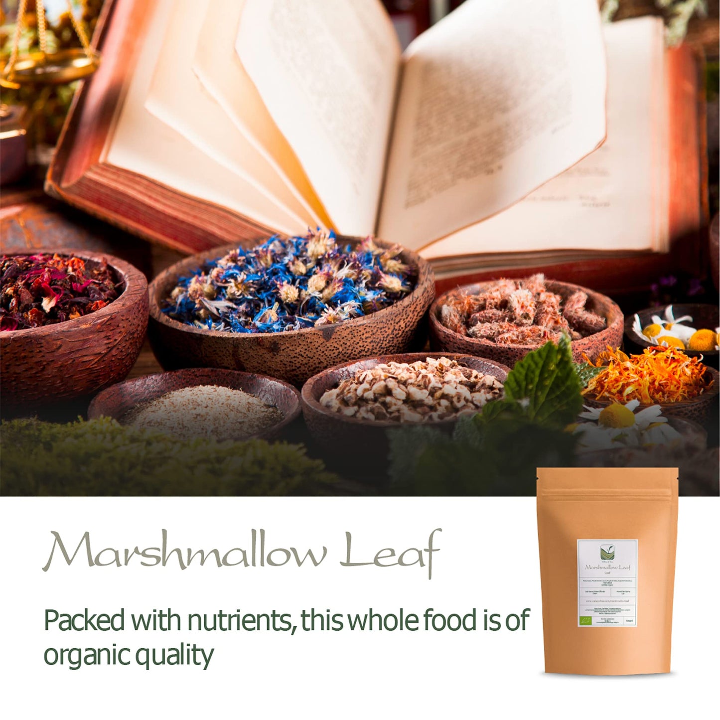 Marshmallow Leaves Tea Organic Quality - Dried Organic Marshmellow Leaf Marshmellow Tea Marshmallow Herb Marshmallow Dried Leaf Marshmallows Tea Leaf Marshmellow Leave Marshmallow Dried Leaves