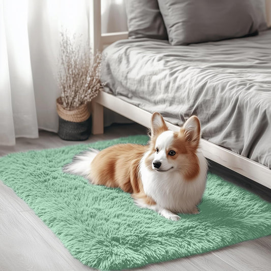 OLANLY Soft Fluffy Shaggy Bedside Rug - Machine Washable 2x3 Mint Green for Bedroom & Nursery Decor
