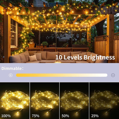 Skiennix 33Ft Fairy String Lights - 100 Micro LED Twinkle Lights | IP68 Waterproof with Remote for Bedroom & Garden Decor