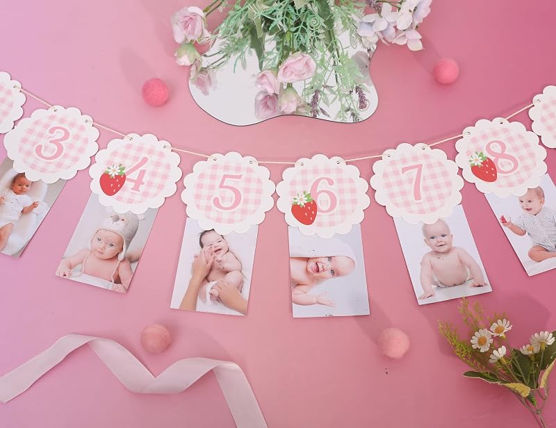 Strawberry Gingham 13-Card Milestone Photo Banner - 0-12 Months, Strawberry-3