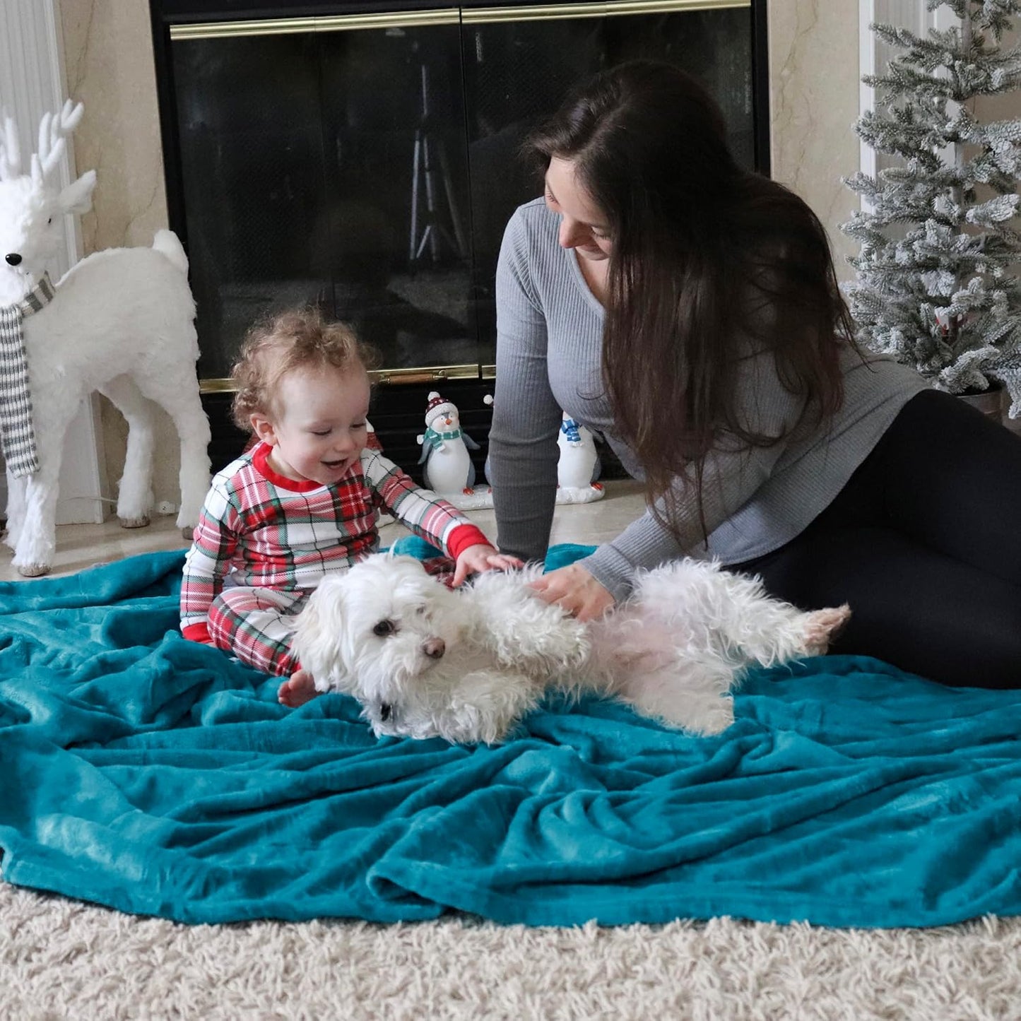 Bedsure GentleSoft Fleece Blanket - Queen Size Teal Plush Microfiber, Soft & Cozy 90x90 Inches