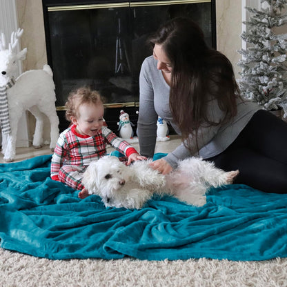 Bedsure GentleSoft Fleece Blanket - Queen Size Teal Plush Microfiber, Soft & Cozy 90x90 Inches
