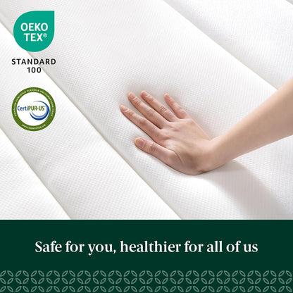 ZINUS 10 Inch True Support Hybrid Mattress - Queen Size, Medium Feel, Fiberglass Free, Motion Isolation, Safe Foams
