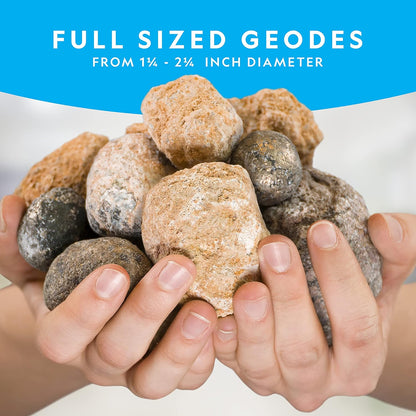 National Geographic Break Open Geodes Kit - 10 Premium Geodes with Goggles & Display Stands | Perfect STEM Science Gift for Kids