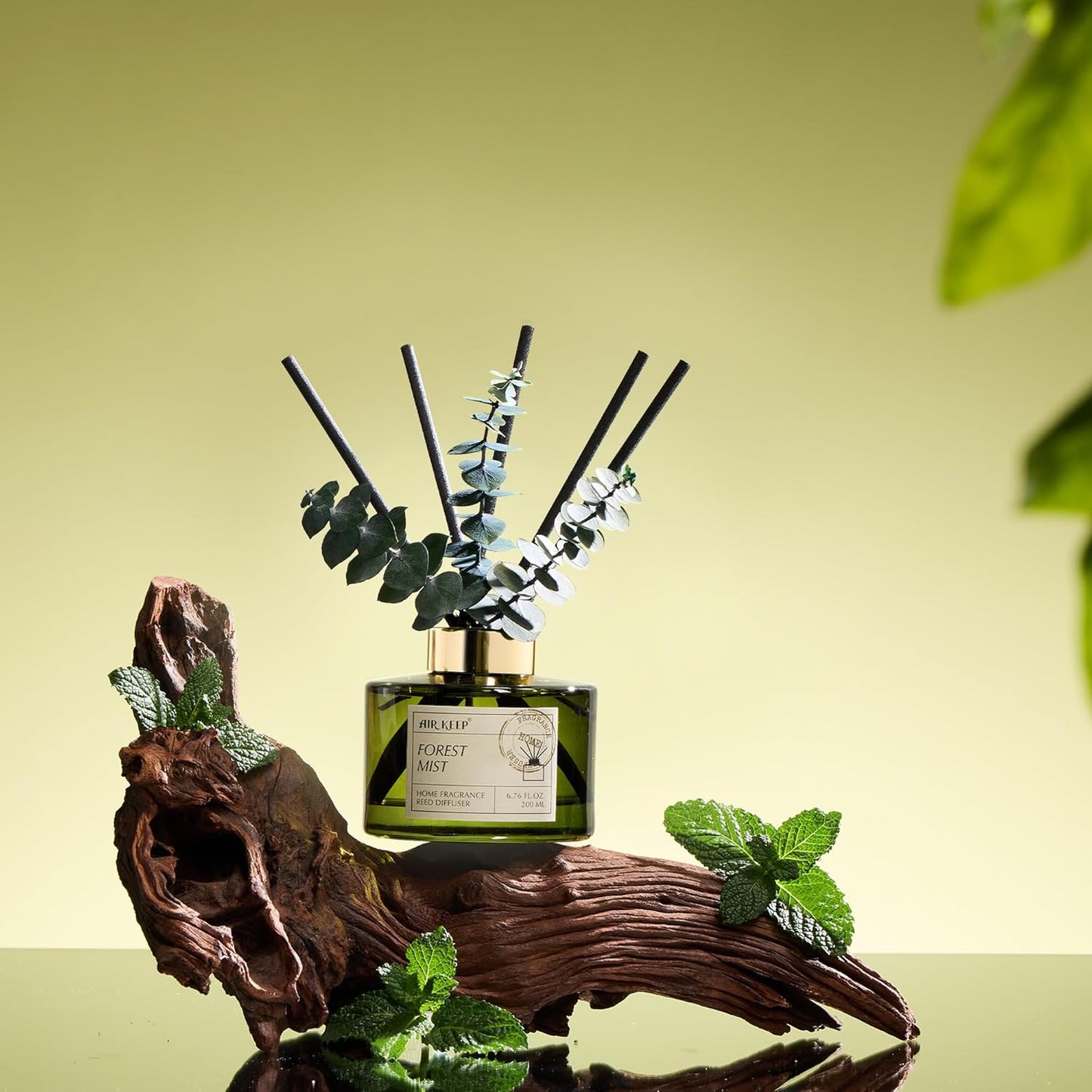 Airkeep Reed Diffuser Set - Forest Mist Scent with 6.76 Fl Oz Essential Oils | 3 Leaves & 8 Sticks for Home Decor