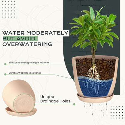 Utopia Home - Indoor Plant Pots with Drainage - 7 to 4.8 Inches Plastic Planters for Cactus & Succulents (Pink, Set of 10)