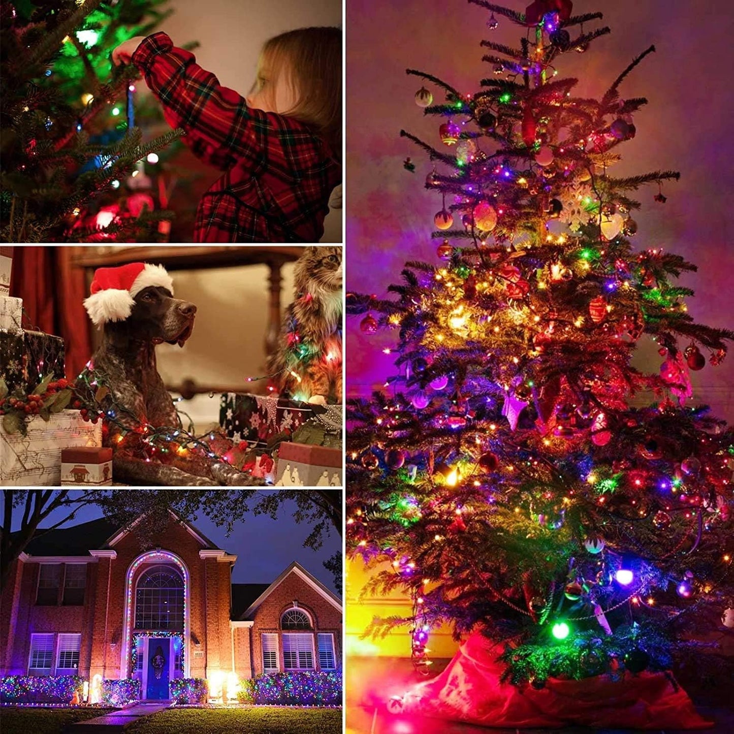 Minetom Clear Christmas Lights - 100 Count Mini String Lights | Waterproof 26.5 Feet for Indoor/Outdoor Decor