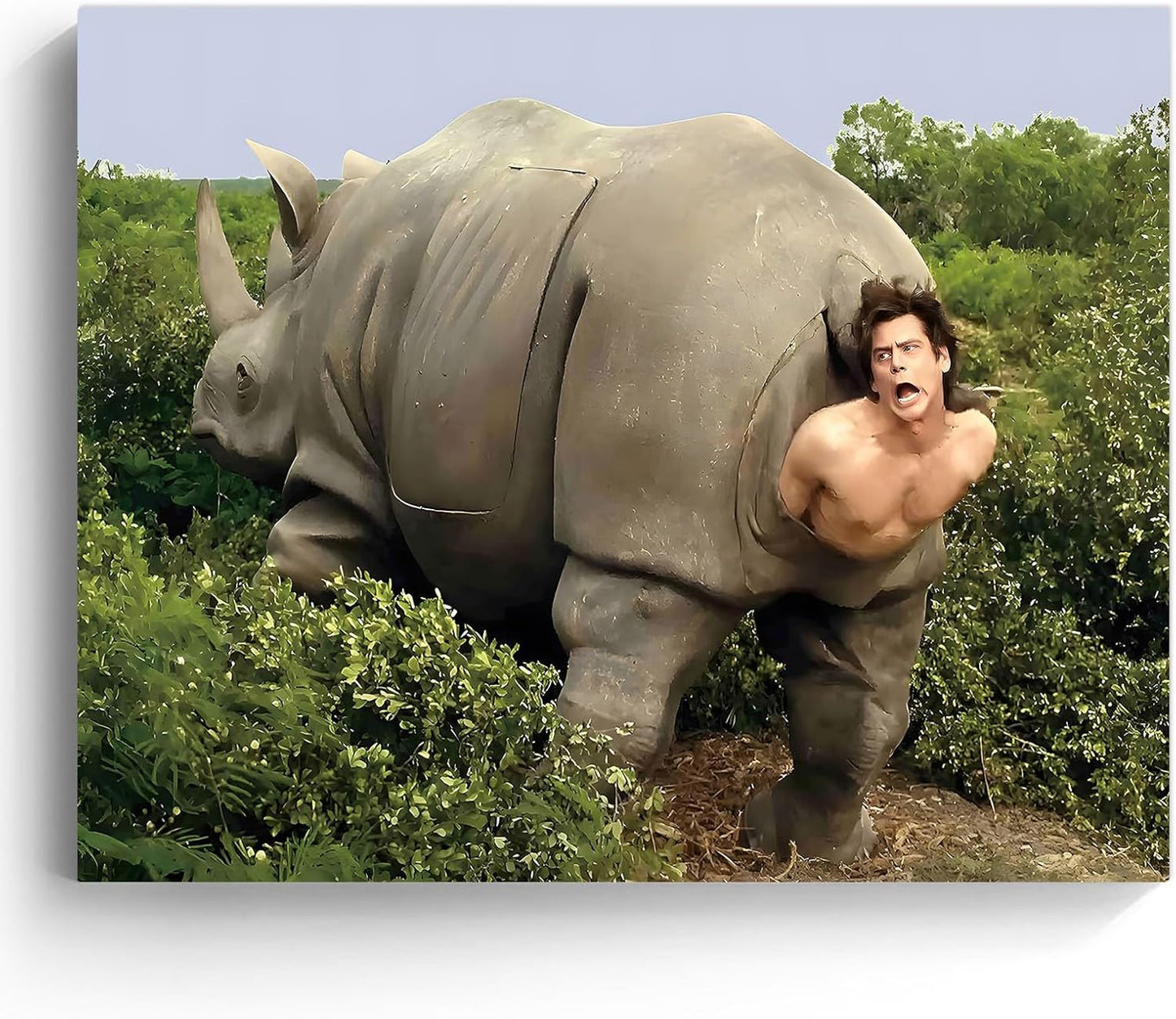 VYPEROCK Funny Canvas Wall Art - Retro Ace Ventura Comedy Poster for Bathroom Decor | 8x10 Inch