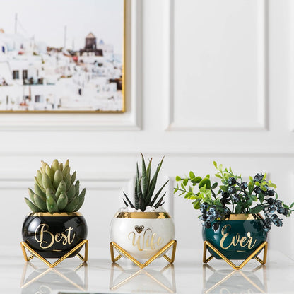 PeraBella 3-Piece Succulent Planter Set - Perfect Romantic Gift for Her | Ideal for Home Decor