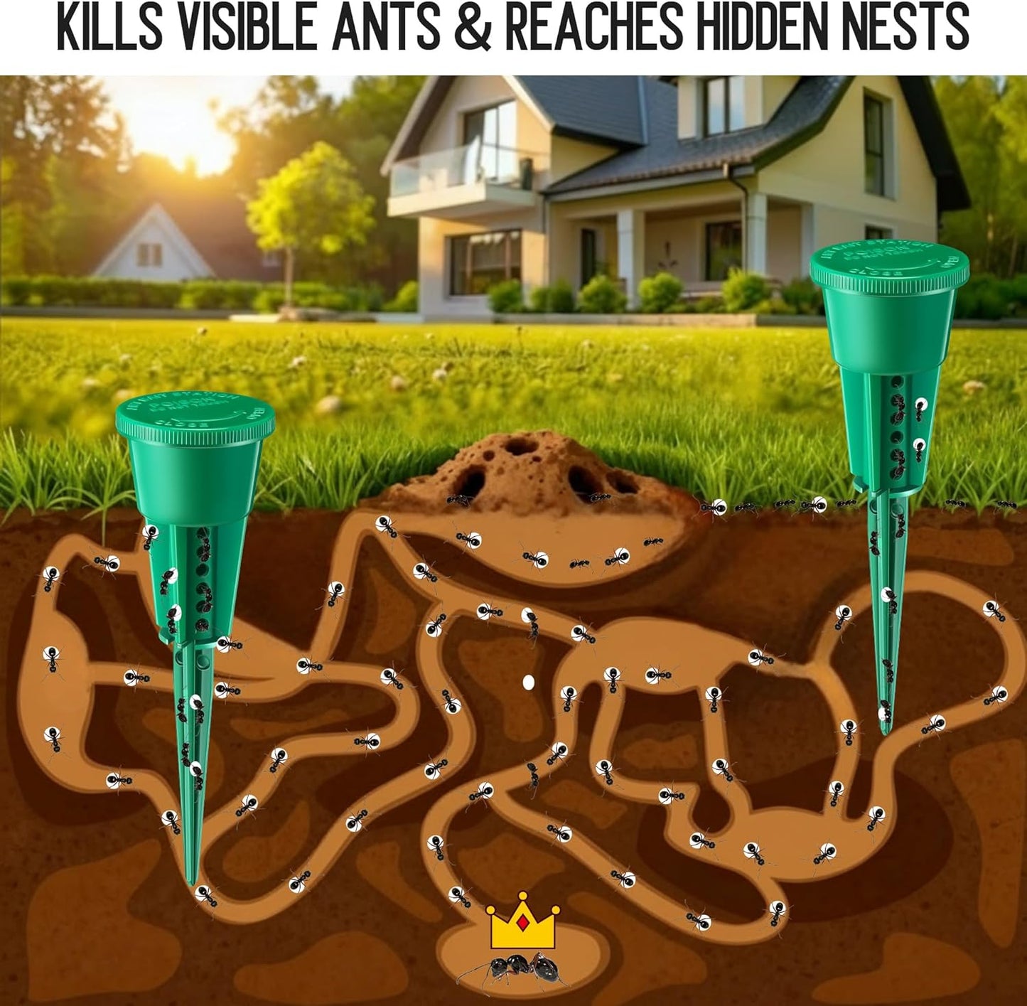 Qualirey Ant Traps - Reusable Liquid Bait Stations for Outdoor Use | Pet Safe, Multi-Surface Control