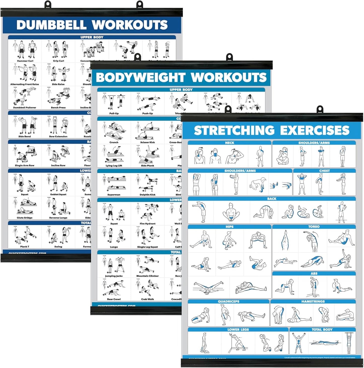 Palace Learning QuickFit 3 Pack - Laminated Dumbbell & Bodyweight Workout Posters | 18" x 24" Charts
