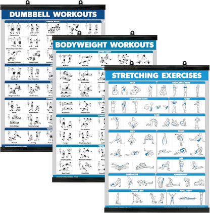 Palace Learning QuickFit 3 Pack - Laminated Dumbbell & Bodyweight Workout Posters | 18" x 24" Charts