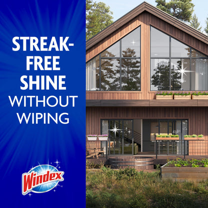 Windex Outdoor Window and Glass Cleaner for Hose Ammonia Free, Concentrated Formula for Deep Outdoor Clean, Patio Cleaner, Compatible With All Hoses, 32 Fl Oz (Pack of 2)
