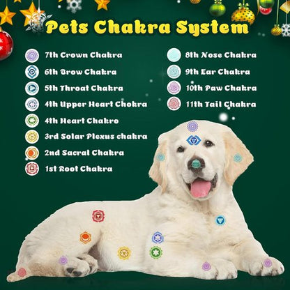 Crystal Advent Calendar 2025 by [Brand Name] - 24-Day Countdown with Natural Chakra Healing Stones | Perfect Christmas Gift for Kids and Pet Lovers