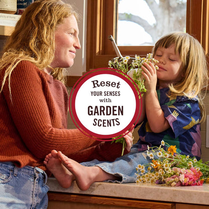 Mrs. Meyer's Clean Day Fabric Freshener - Linen Scent, 20 Ounce Bottle for Freshness & Cleanliness