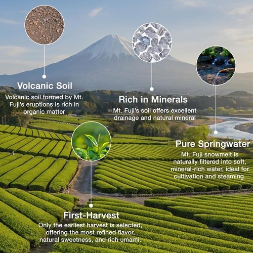 Asayu Japan Fuji Matcha Powder - Ceremonial Grade Green Tea from Mt. Fuji | 100g Pouch