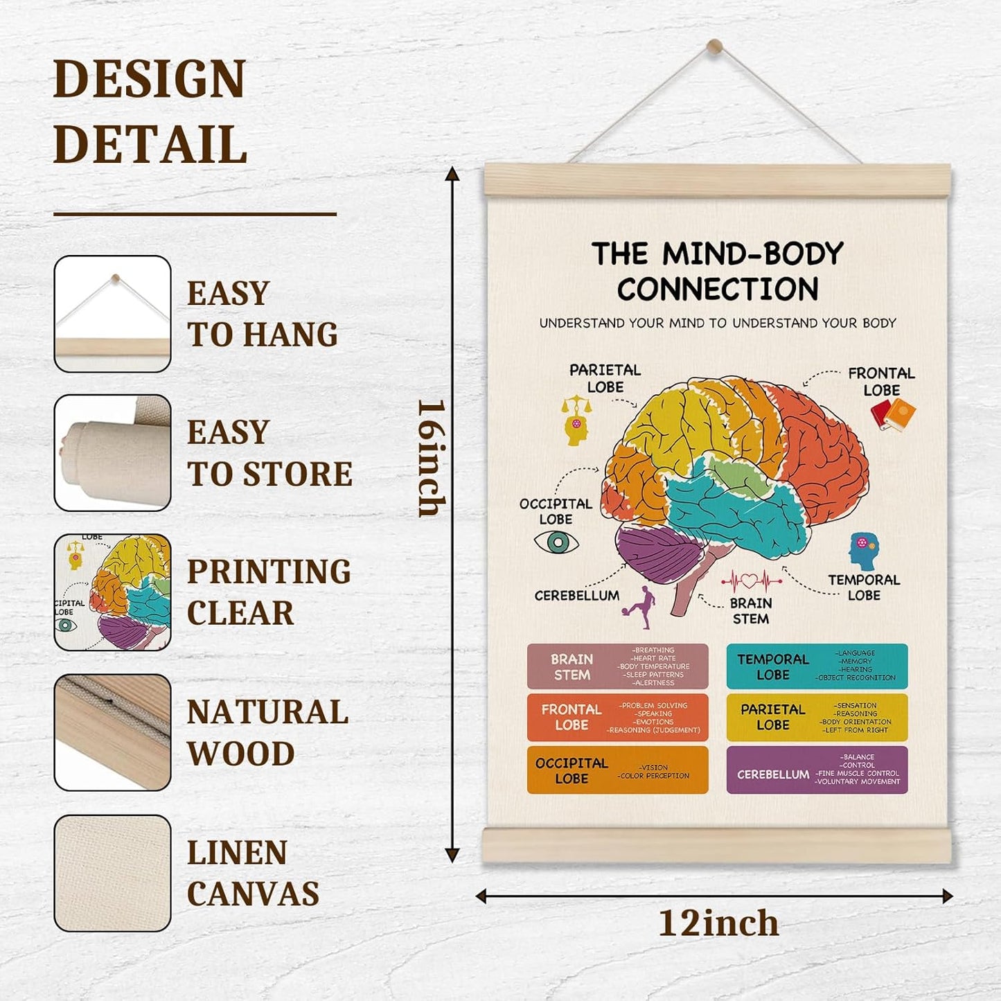 Skiennix Mental Health Poster Hanger Frame - Brain Anatomy Artwork for Therapy & School | 16x12 Inch
