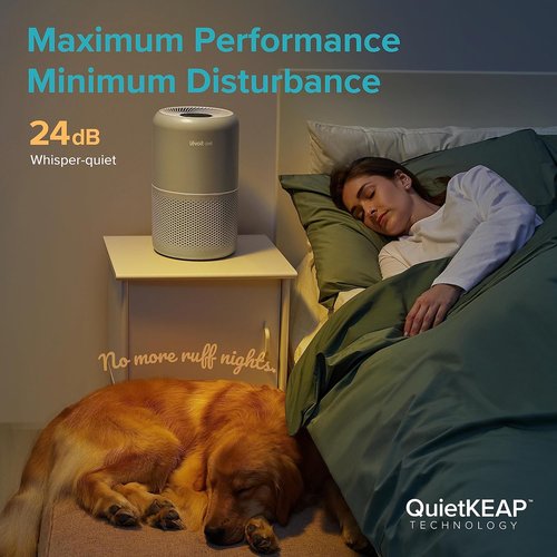 LEVOIT Air Purifier - HEPA Filter for Pets & Large Rooms | Efficient Odor & Allergen Removal, Grey